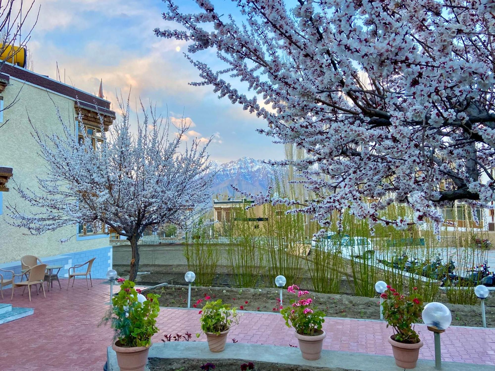 Hotel Palam Hills Leh Esterno foto